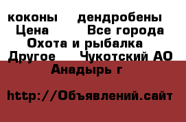 коконы    дендробены › Цена ­ 25 - Все города Охота и рыбалка » Другое   . Чукотский АО,Анадырь г.